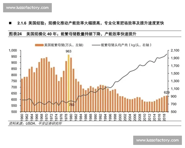 乒乓球比赛网络平台全方位介绍与发展趋势分析